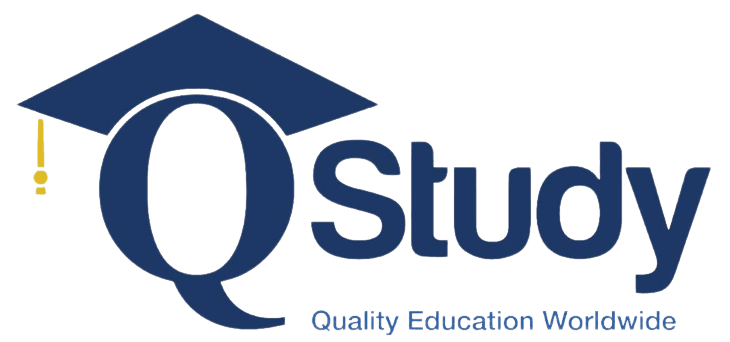 Q Study Logo